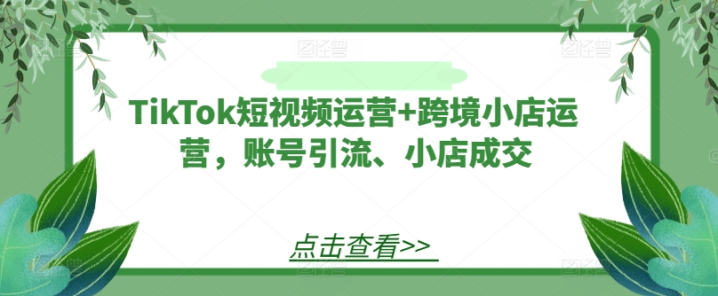 TikTok短视频运营+跨境小店运营，账号引流、小店成交-众创项目基地