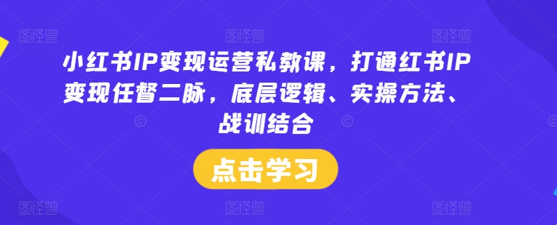 小红书IP变现运营私教课，打通红书IP变现任督二脉，底层逻辑、实操方法、战训结合-众创项目基地
