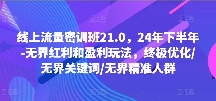 线上流量密训班21.0，24年下半年-无界红利和盈利玩法，终极优化/无界关键词/无界精准人群-众创项目基地