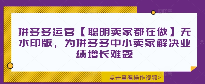 拼多多运营【聪明卖家都在做】无水印版，为拼多多中小卖家解决业绩增长难题-众创项目基地