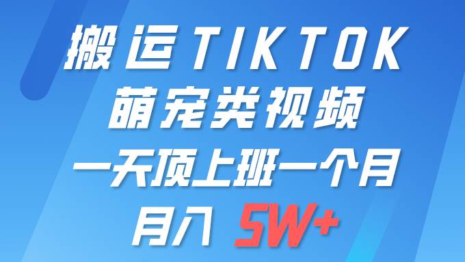 一键搬运TIKTOK萌宠类视频 一部手机即可操作 所有平台均可发布 轻松月入5W+-众创项目基地