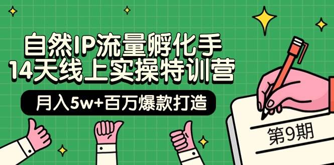 自然IP流量孵化手 14天线上实操特训营【第9期】月入5w+百万爆款打造 (74节)-众创项目基地