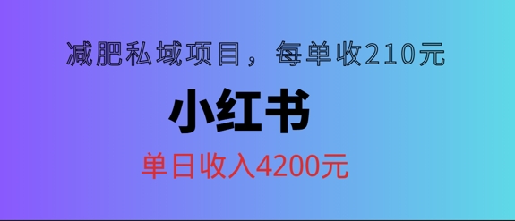 小红书减肥私域项目，每单210元，单日可卖出15单，利润3150-众创项目基地
