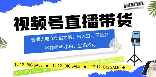 视频号读稿带货，普通人电商创富之路，小白、宝妈均可-众创项目基地
