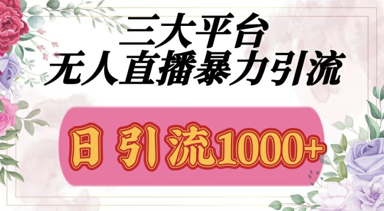 三大平台无人直播引流，吸引精准创业粉-众创项目基地