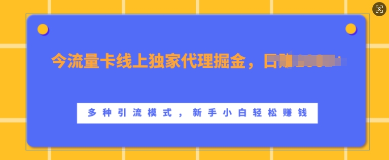 流量卡线上独家代理掘金，日入1k+ ，多种引流模式，新手小白轻松上手【揭秘】-众创项目基地