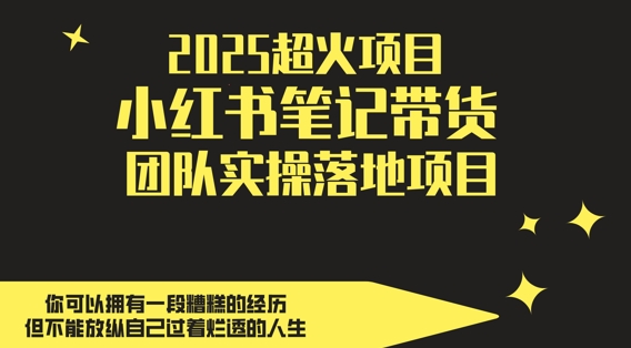 2025超火项目，副业最佳选择，小红书笔记带货团队实操落地项目，，轻松日入5张-众创项目基地