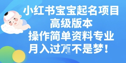 小红书宝宝起名项目高级版本，操作简单，资料专业，月入过W-众创项目基地