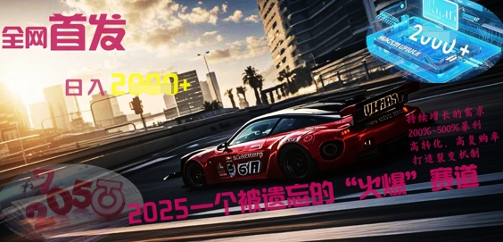 全网首发：2025一个被遗忘的“火爆”赛道轻松日入多张-众创项目基地