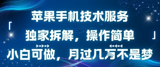苹果手机技术服务，独家拆解，操作简单，小白可做，月过1W不是梦-众创项目基地