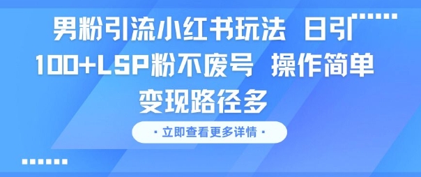 男粉引流小红书玩法，日引100+LSP粉不废号，操作简单，变现路径多-众创项目基地