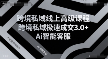 跨境私域线上高级课程，跨境私域极速成交3.0+Ai智能客服-众创项目基地