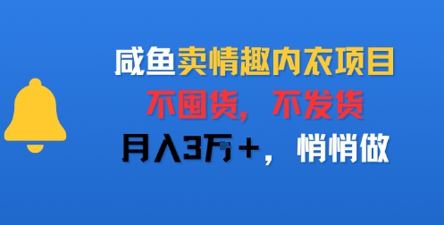 咸鱼卖情趣内衣项目，不囤货，不发货，月入3W+，悄悄做-众创项目基地