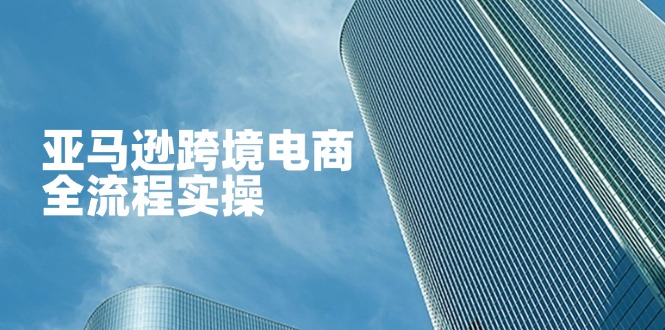 （14252期）亚马逊跨境电商全流程实操，教你从零开始，掌握店铺运营与广告技巧-众创项目基地