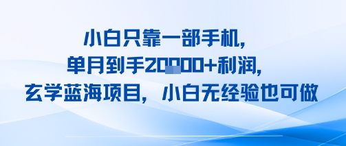 小白只靠一部手机，单月到手2W+利润，玄学蓝海项目，小白无经验也可做-众创项目基地