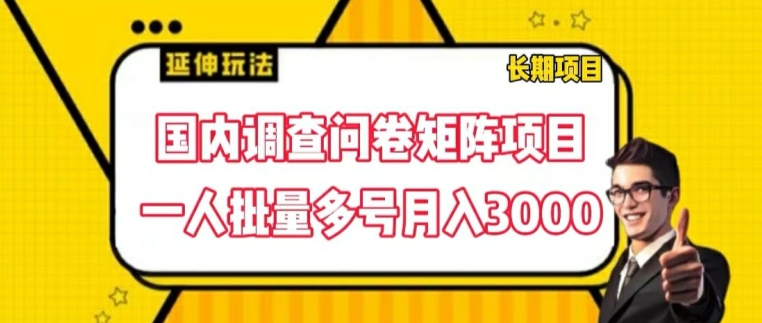 国内调查问卷矩阵项目，一人批量多号月入3000-众创项目基地