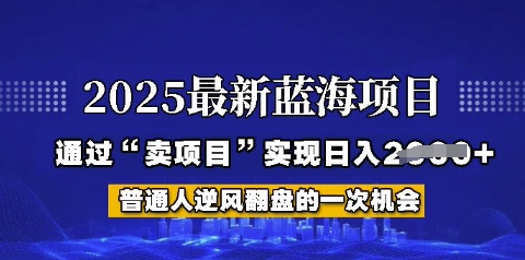 2025年首次揭秘如何通过“网创项目”日入多张【揭秘】-众创项目基地