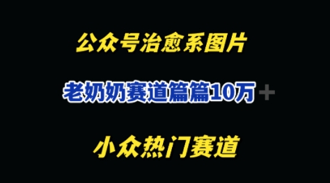 公众号老奶奶治愈系流量主，篇篇10W+-众创项目基地