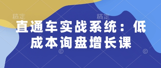 直通车实战系统：低成本询盘增长课，让个人通过技能实现升职加薪，让企业低成本获客，订单源源不断-众创项目基地