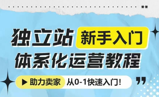 独立站新手入门体系化运营教程，助力独立站卖家从0-1快速入门!-众创项目基地