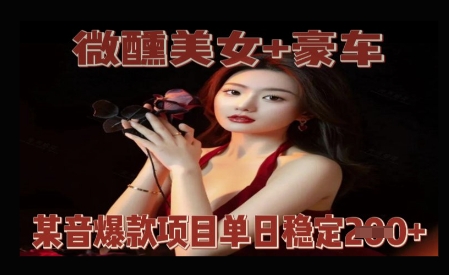 微醺美女+豪车，抖音爆款项目单日稳定2张+-众创项目基地