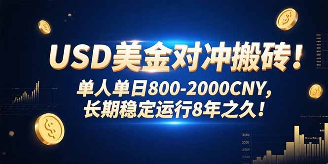 （15551期）USD美金对冲搬砖!单人单日800-2000CNY，长期稳定运行8年之久!-众创项目基地