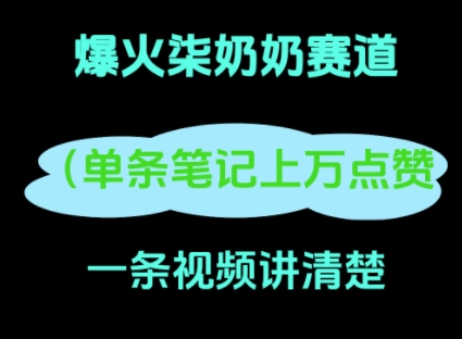 小红书爆火柒奶奶，13 天涨粉 8.7 W，全流程拆解-众创项目基地
