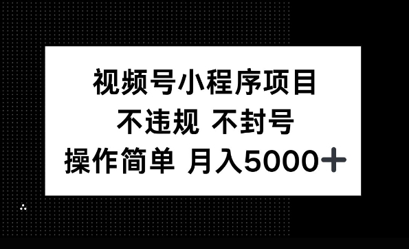 视频号小程序项目，不违规不封号，操作简单 月入5000+-众创项目基地