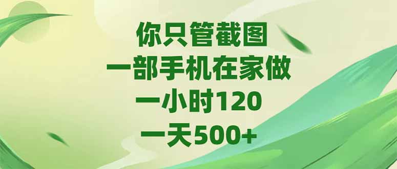 （15039期）你只管截图，一部手机在家做，一小时120，-天500+-众创项目基地