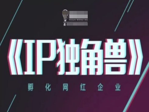 IP独角兽，孵化网红企业，ip教程-众创项目基地