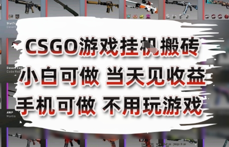 CSGO游戏挂G搬砖，小白纯手机即可操作，不用电脑打游戏，日入3张+，副业网创项目【揭秘】-众创项目基地