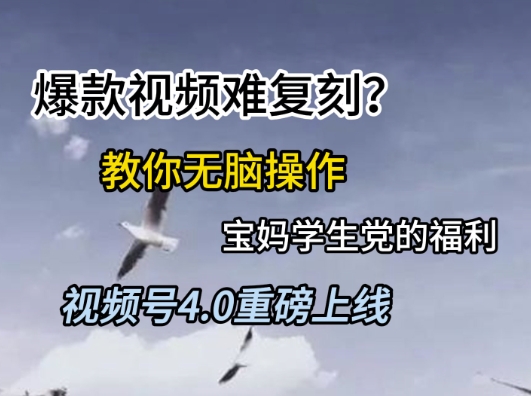 视频号4.0重磅上线，爆款视频难复刻？教你无脑操作宝妈学生党的福利【揭秘】-众创项目基地