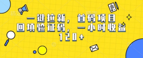 一键拉新，首码项目，回填验证码，一小时收益1张-众创项目基地