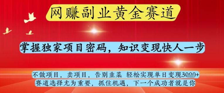 网创副业黄全赛道，掌握独家项目密码，知识变现快人一步，告别韭菜轻松实现单日变现1k+【揭秘】-众创项目基地