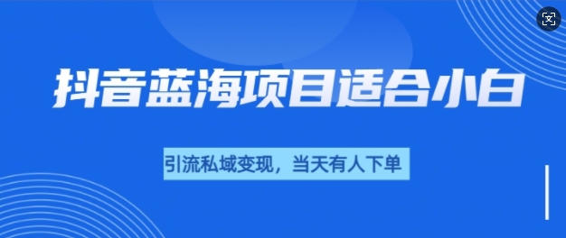 抖音蓝海小赛道私域变现项目，单价9.9单天变现100+，实操玩法分享给你-众创项目基地