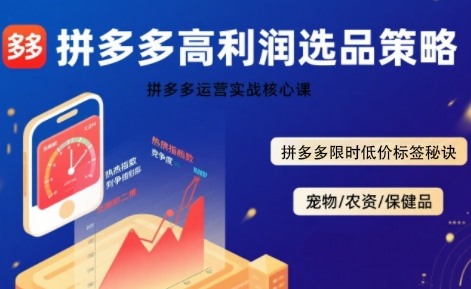 拼多多选品暴利技术实战课，拼多多高利润选品策略，拼多多限时低价标签秘诀-众创项目基地