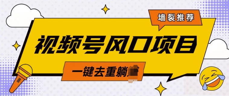 视频号风口蓝海项目，中老年人的流量密码，简单无脑，一键去重，轻松月入过W-众创项目基地