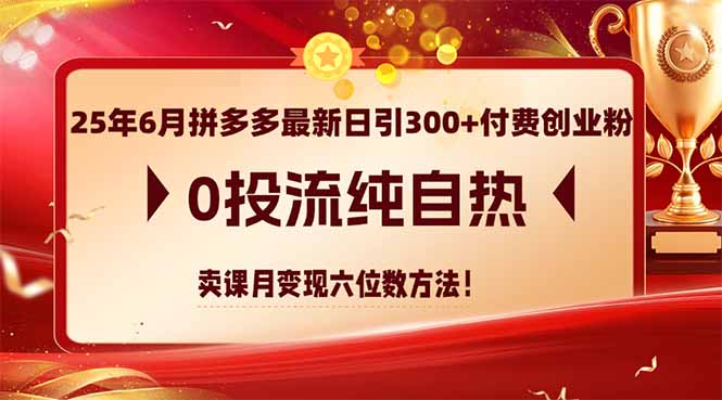 （14989期）25年6月拼多多最新日引300+付费创业粉，0投流纯自热 卖课月变现六位数方法-众创项目基地