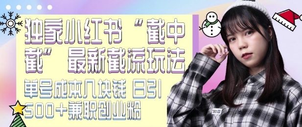 最新小红书截流玩法 独家截中截 单号成本几块钱 日引500+CY粉JZ粉-众创项目基地