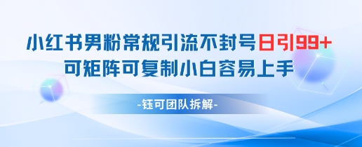 小红书男粉常规引流不封号日引99+变现简单 可矩阵可复制小白容易上手-众创项目基地