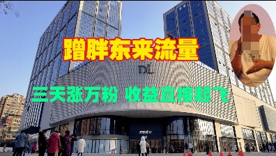 蹭胖东来流量，三天涨万粉，收益直接起飞-众创项目基地