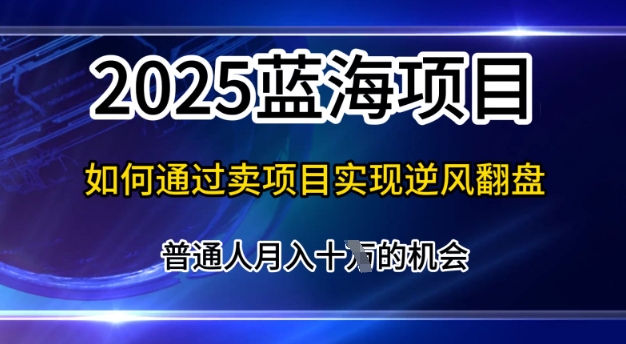 2025蓝海项目，普通人如何通过卖项目实现逆风翻盘，月入10个【揭秘】-众创项目基地