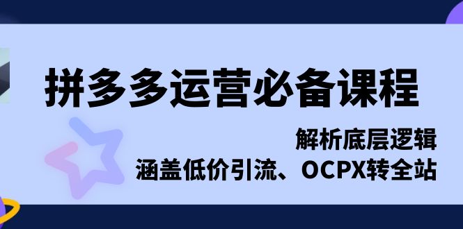 (13700期)拼多多运营必备课程,解析底层逻辑,涵盖低价引流、OCPX转全站-众创项目基地