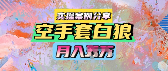 空手套白狼，月入过1W，实操案例分享-众创项目基地