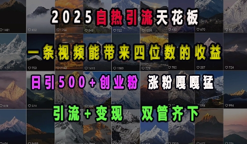 2025自热引流天花板，一条视频能带来四位数的收益，引流+变现双管齐下，日引500+创业粉，涨粉嘎嘎猛-众创项目基地