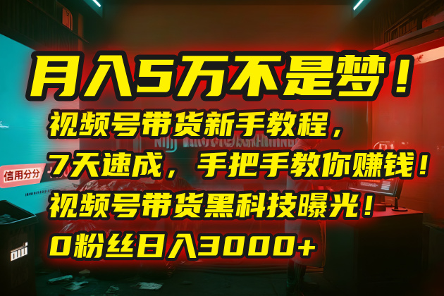 （15595期）月入5万不是梦！视频号带货新手教程，7天速成，手把手教你赚钱！视频号...-众创项目基地