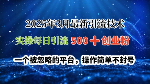 2025年3月最新引流技术，实操每日引流500+创业粉，一个被忽略的平台，操作简单不封号-众创项目基地