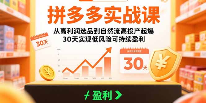 （15586期）拼多多实战课：从高利润选品到自然流高投产起爆 30天实现低风险可持续盈利-众创项目基地
