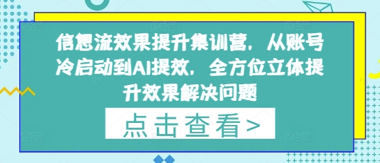 信息流效果提升集训营，从账号冷启动到AI提效，全方位立体提升效果解决问题-众创项目基地