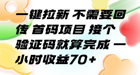 一键拉新 不需要回传 首码项目 接个验证码就算完成 一小时收益70+【揭秘】-众创项目基地